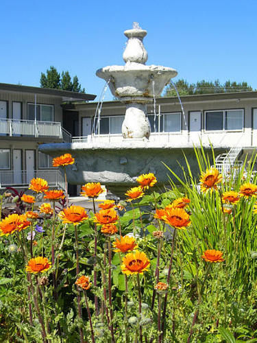 Comox Valley Inn & Suites Courtenay Eksteriør bilde